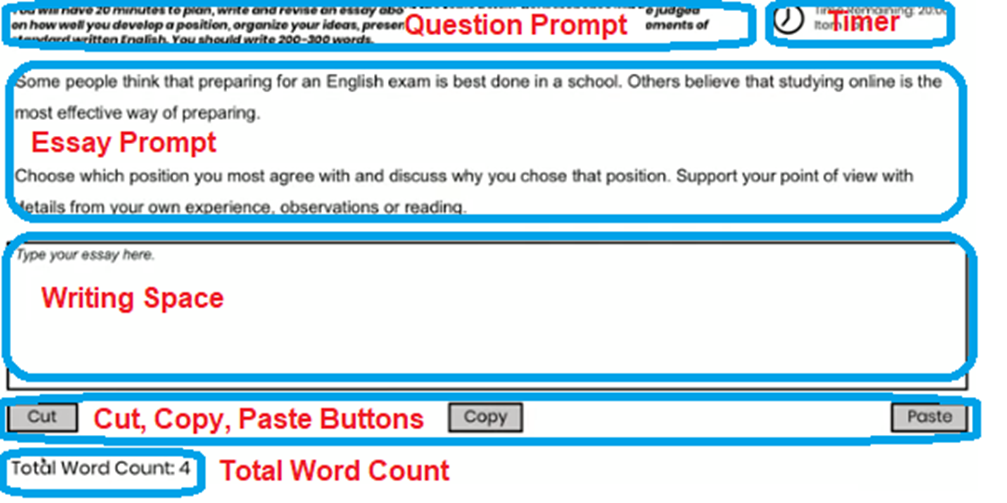 pte essay template word